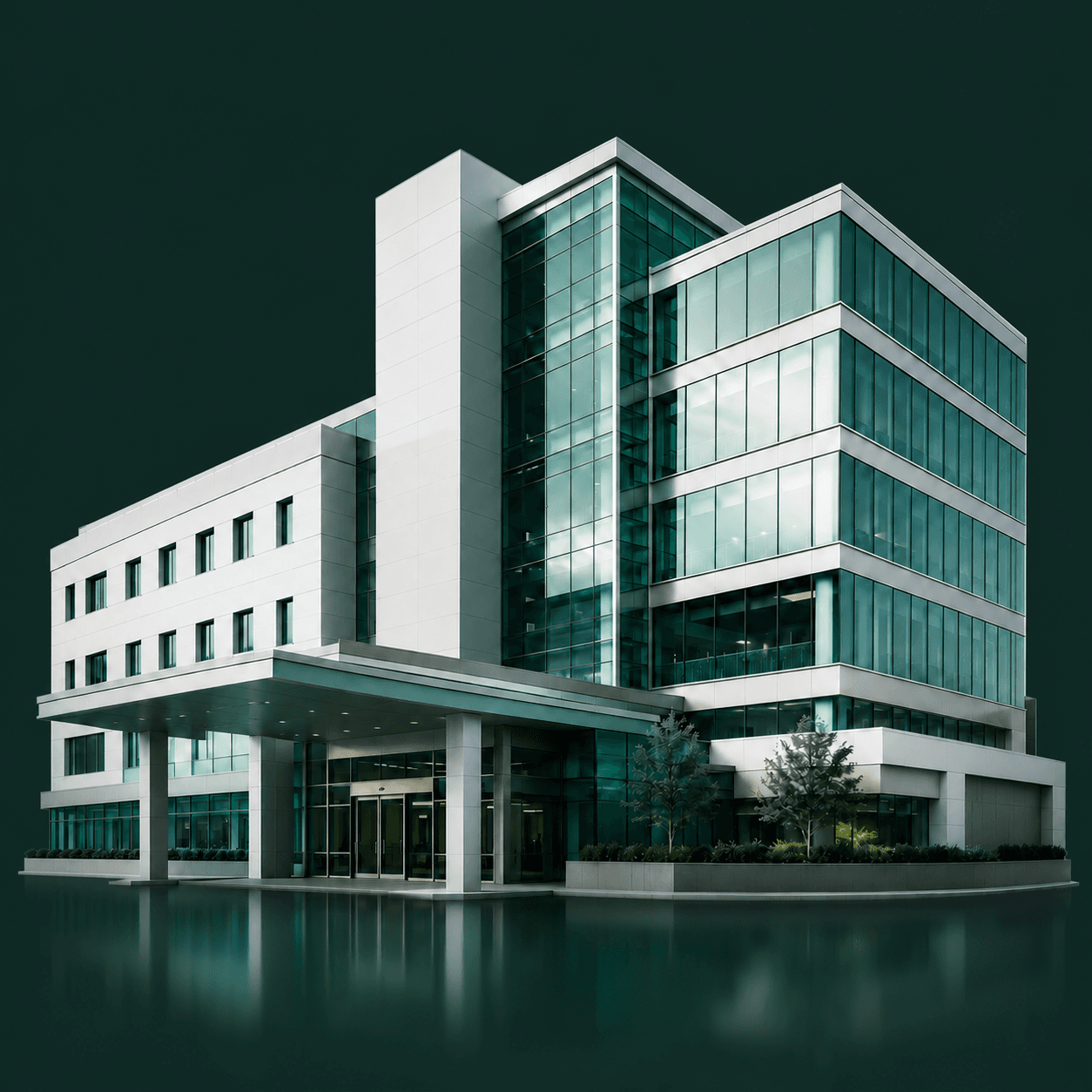 Healthcare industry